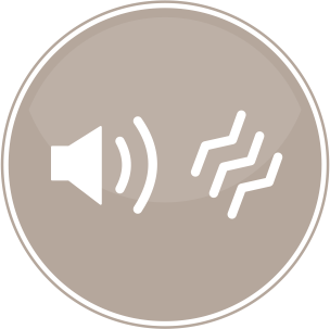 2 Audio Types